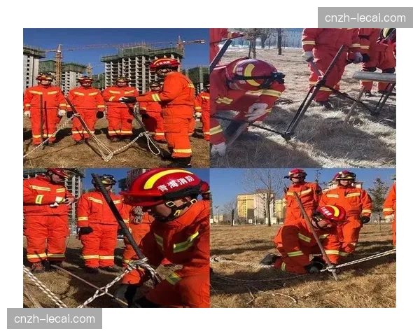 教练战术设计需考虑冰面条件 环境因素影响选手技术发挥